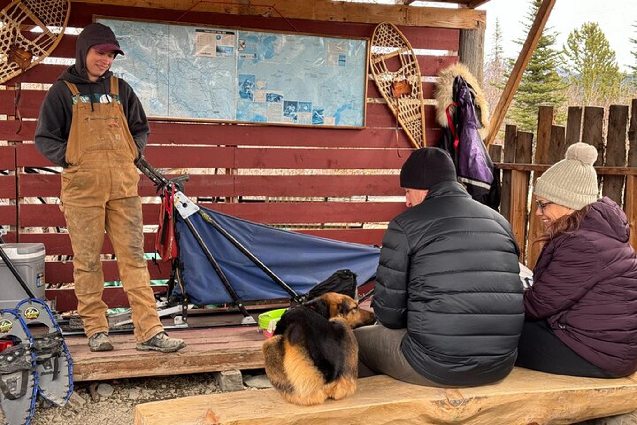 Yukon Sled Dog Tour - Image 5