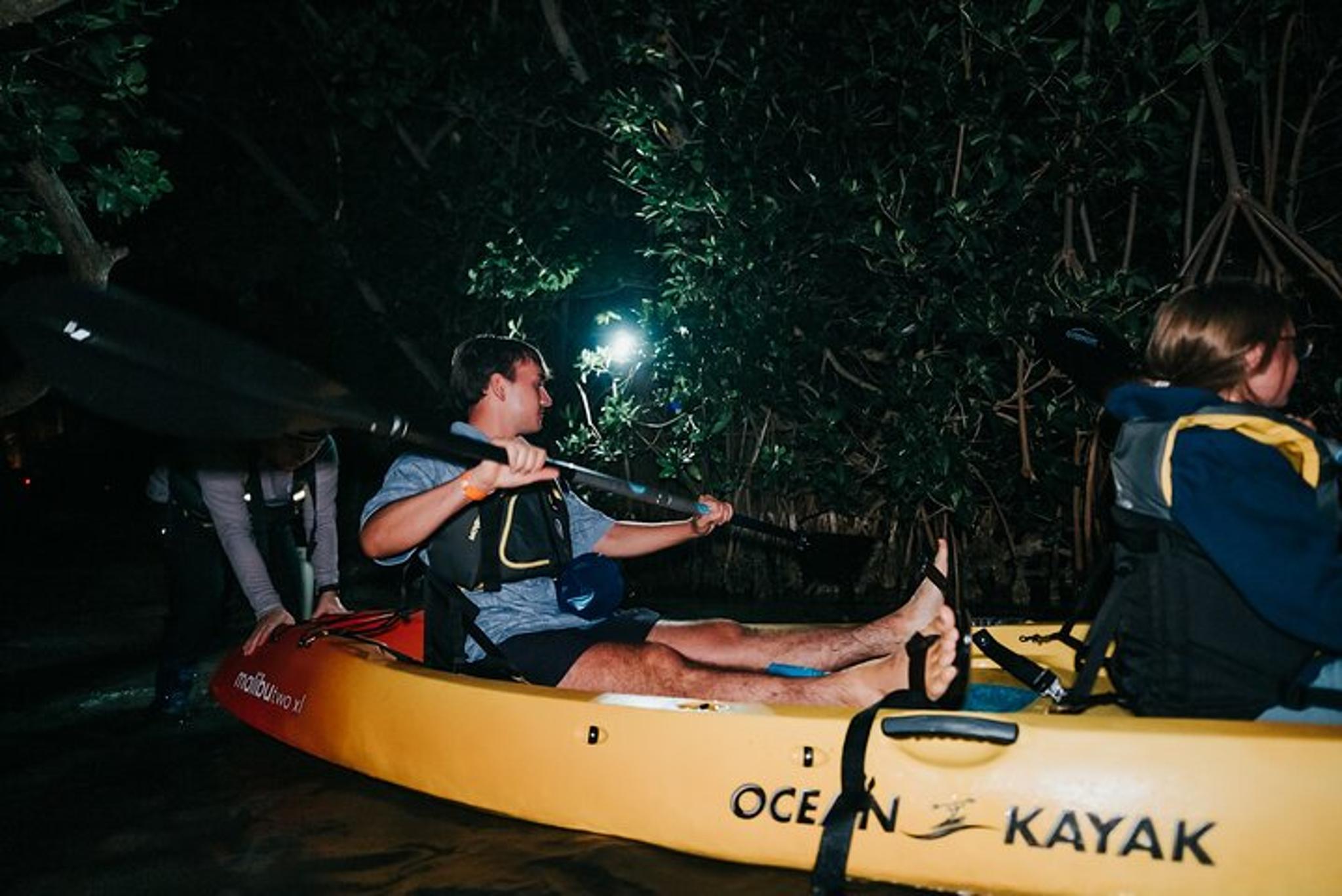 Florida Bioluminescent Kayak Tour - Image 5