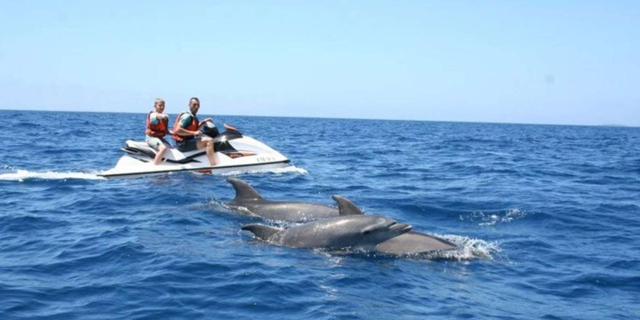 Destin Crab Island Dolphin Jet Ski Tour - Image 5
