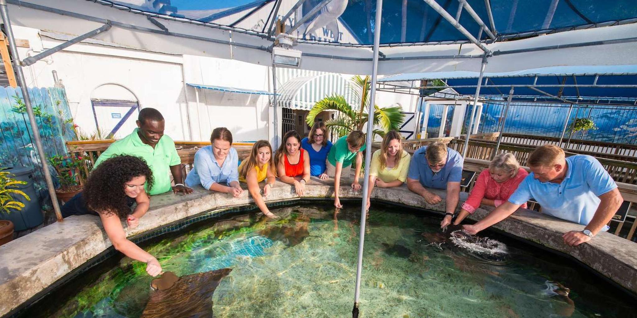 Key West Aquarium Tour - Image 6