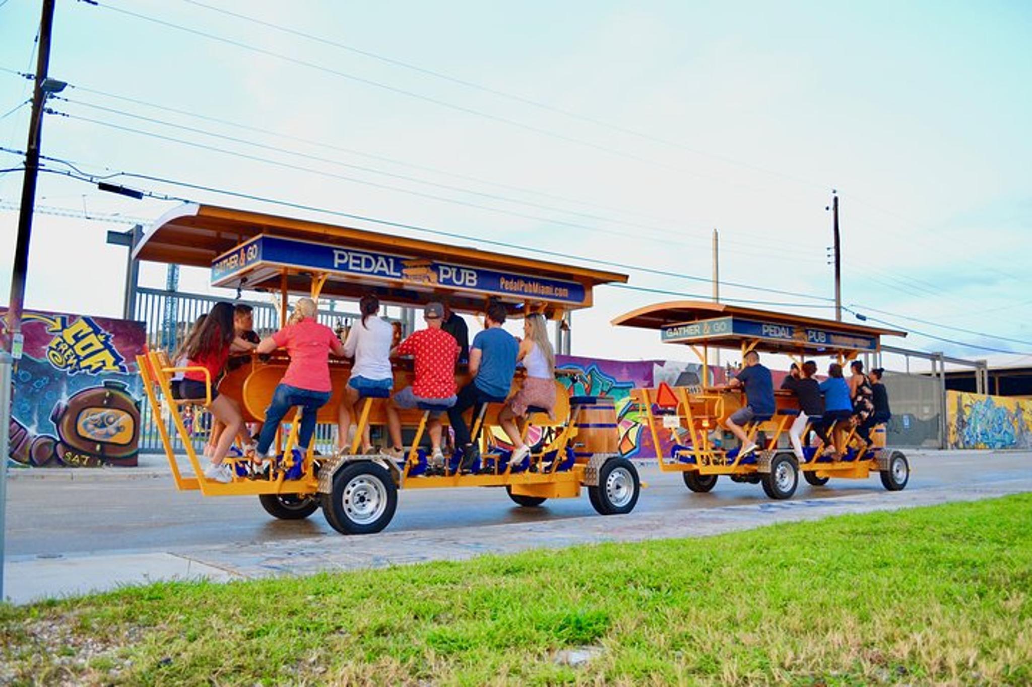 Miami Arts District Party Bike Pub Crawl