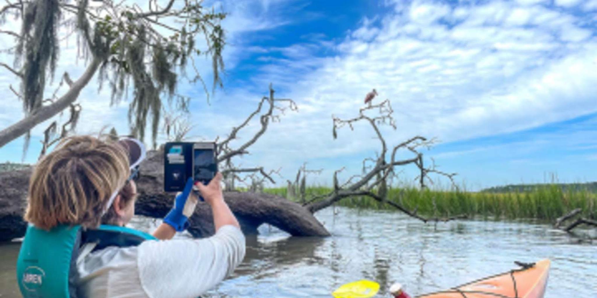 Hilton Head Private Outback Kayak Tour - Image 4