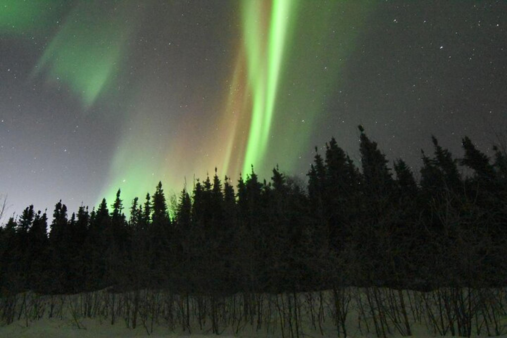 Fairbanks Chena Hot Springs Northern Lights Tour - Image 2
