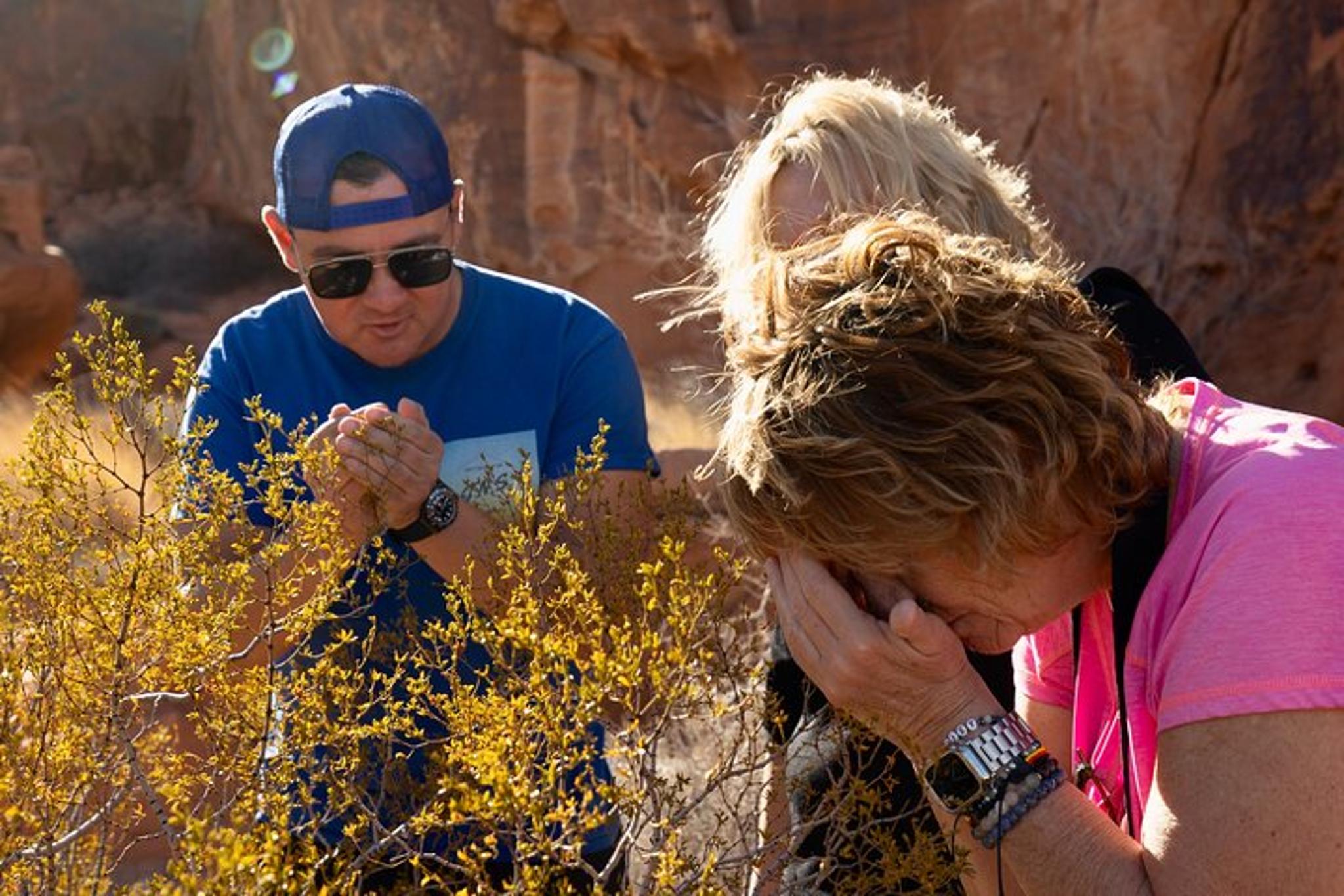 Las Vegas Valley of Fire and Red Rock Canyon Day Tour - Image 3