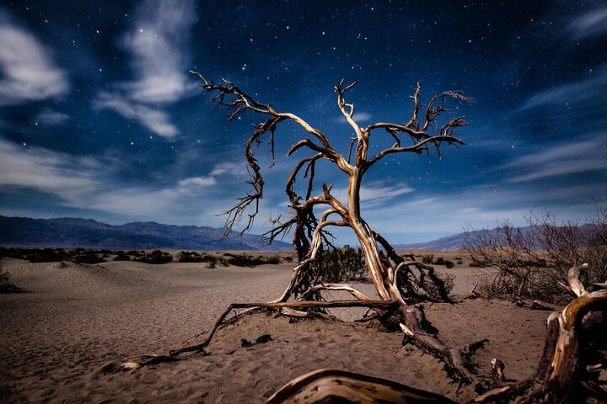 Las Vegas Death Valley National Park Private Tour - Image 5