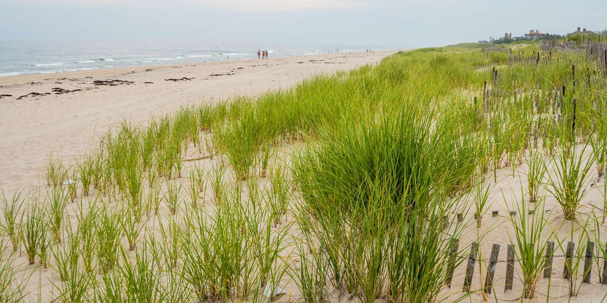 New York City Hamptons and Outlet Shopping Day Trip - Image 2