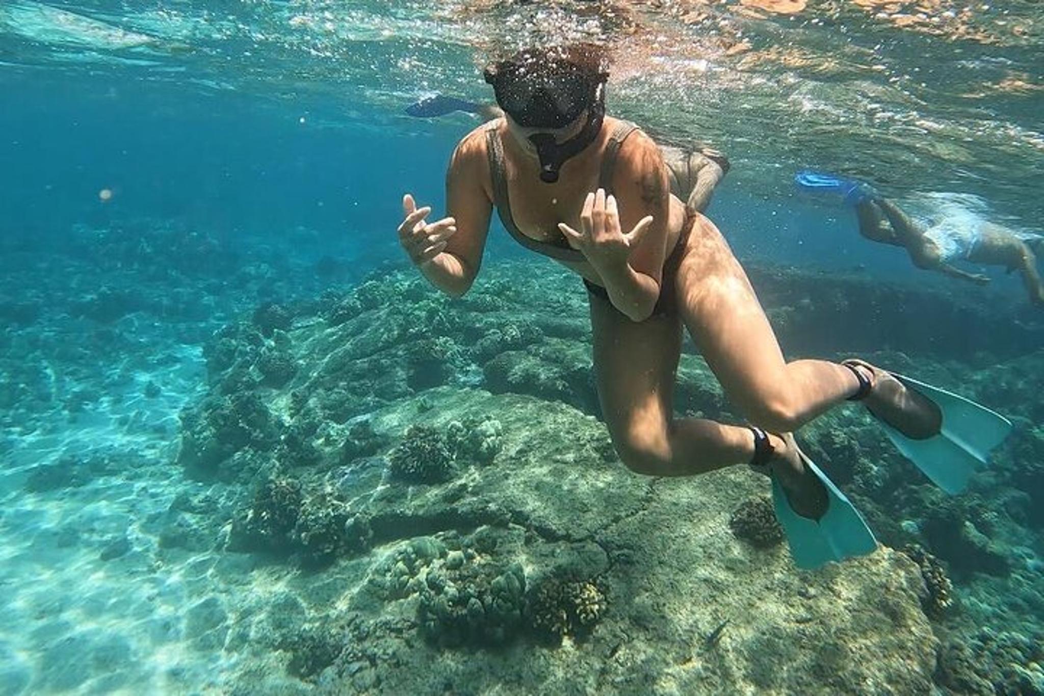 Hilo Sea Turtle Snorkel Adventure - Image 5