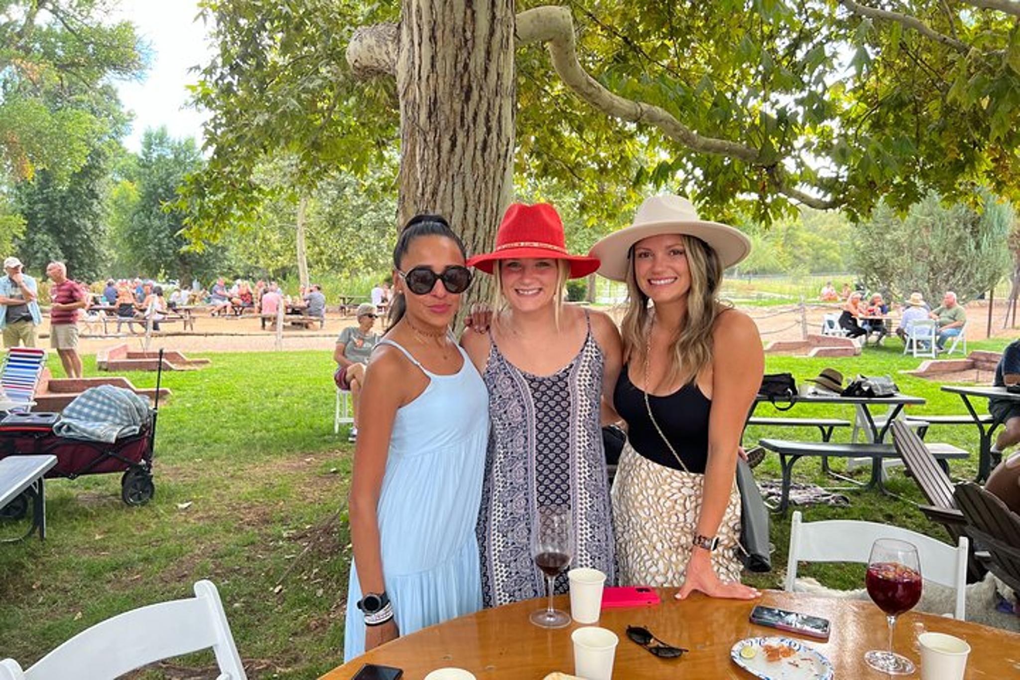 Scottsdale Vineyard Tour with Picnic Lunch - Image 2