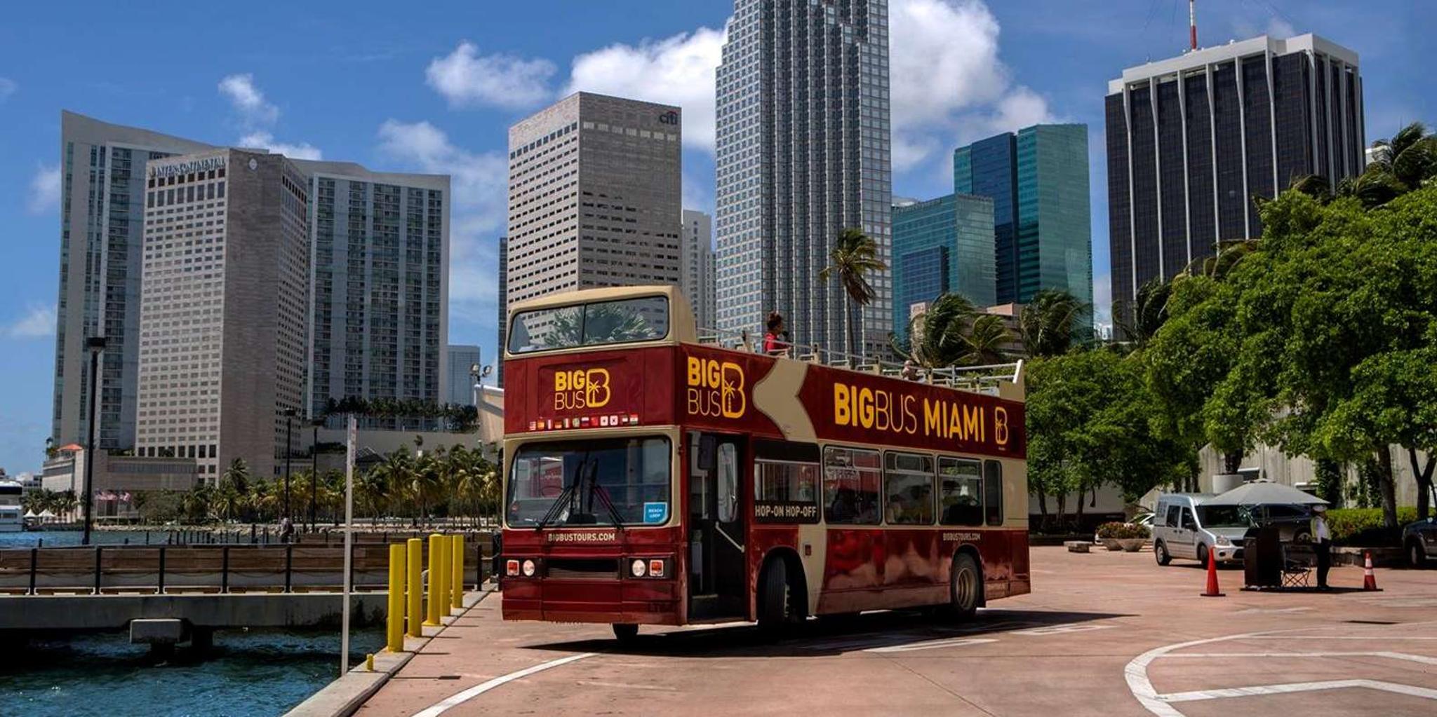 Miami Bus Tour, Celebrity Homes Cruise, and Artechouse