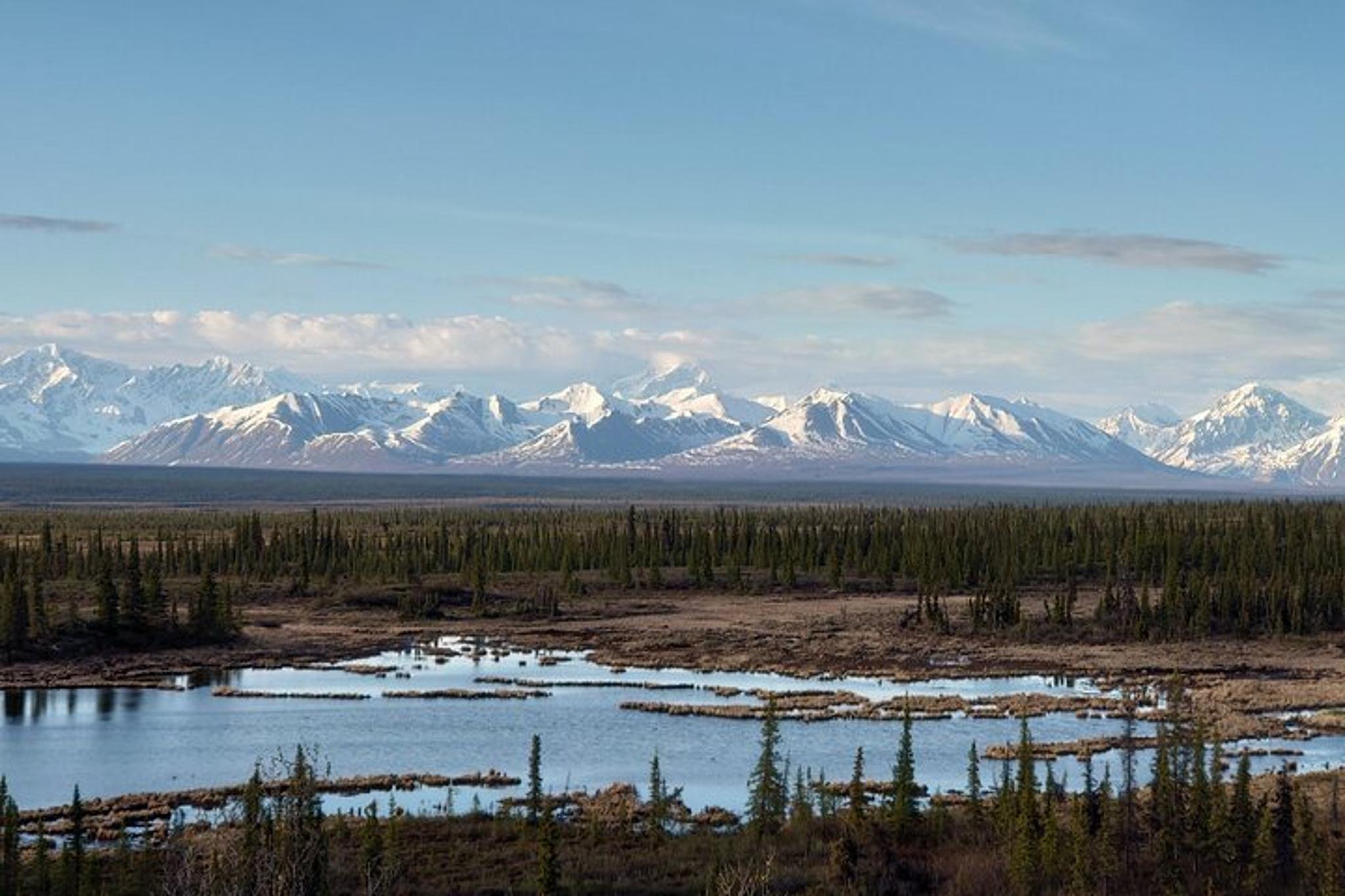 Denali Park Tour from Fairbanks