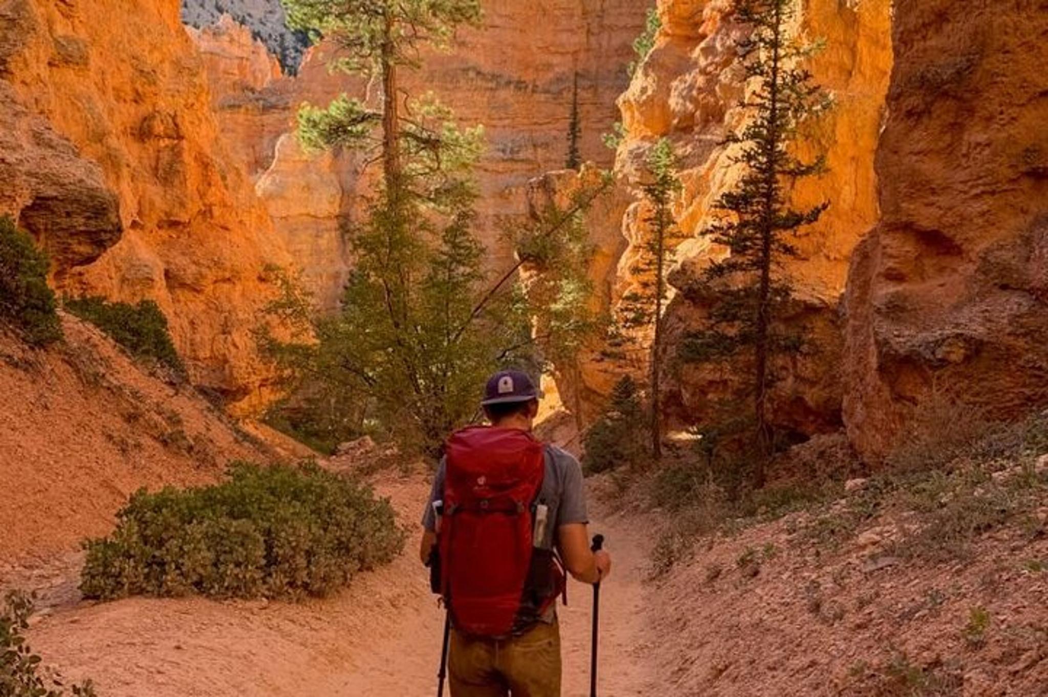 Las Vegas Bryce Canyon and Zion National Park Tour - Image 4