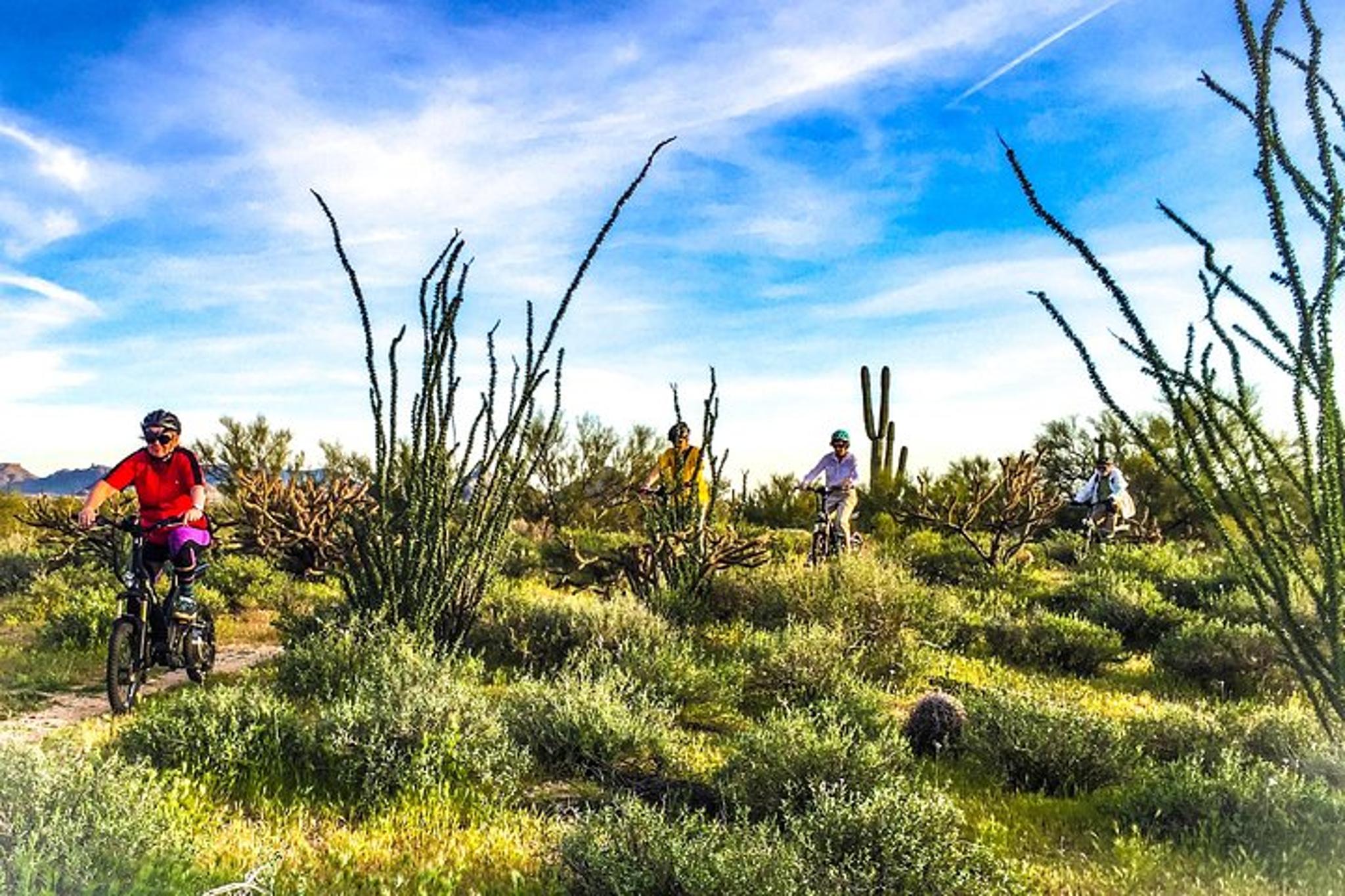 Arizona Desert E-Bike Adventure - Image 5