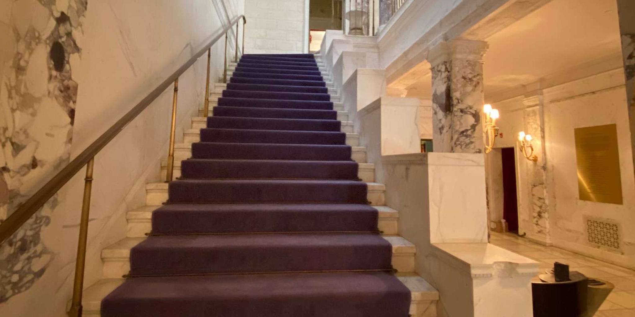 New York City Gilded Age Mansions Guided Tour 2 hr - Image 4