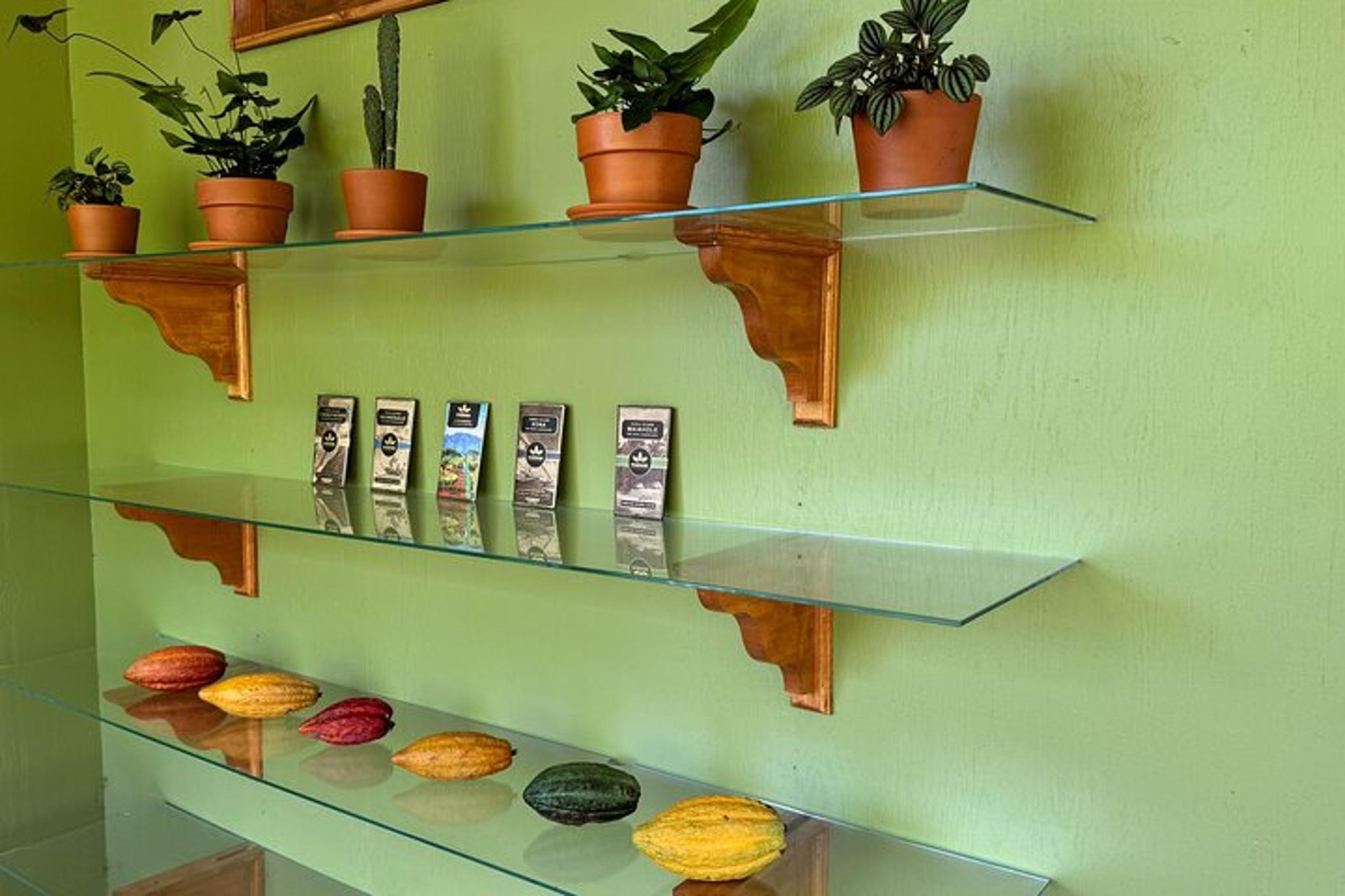 Kamananui Cacao Orchard Tour - Image 4