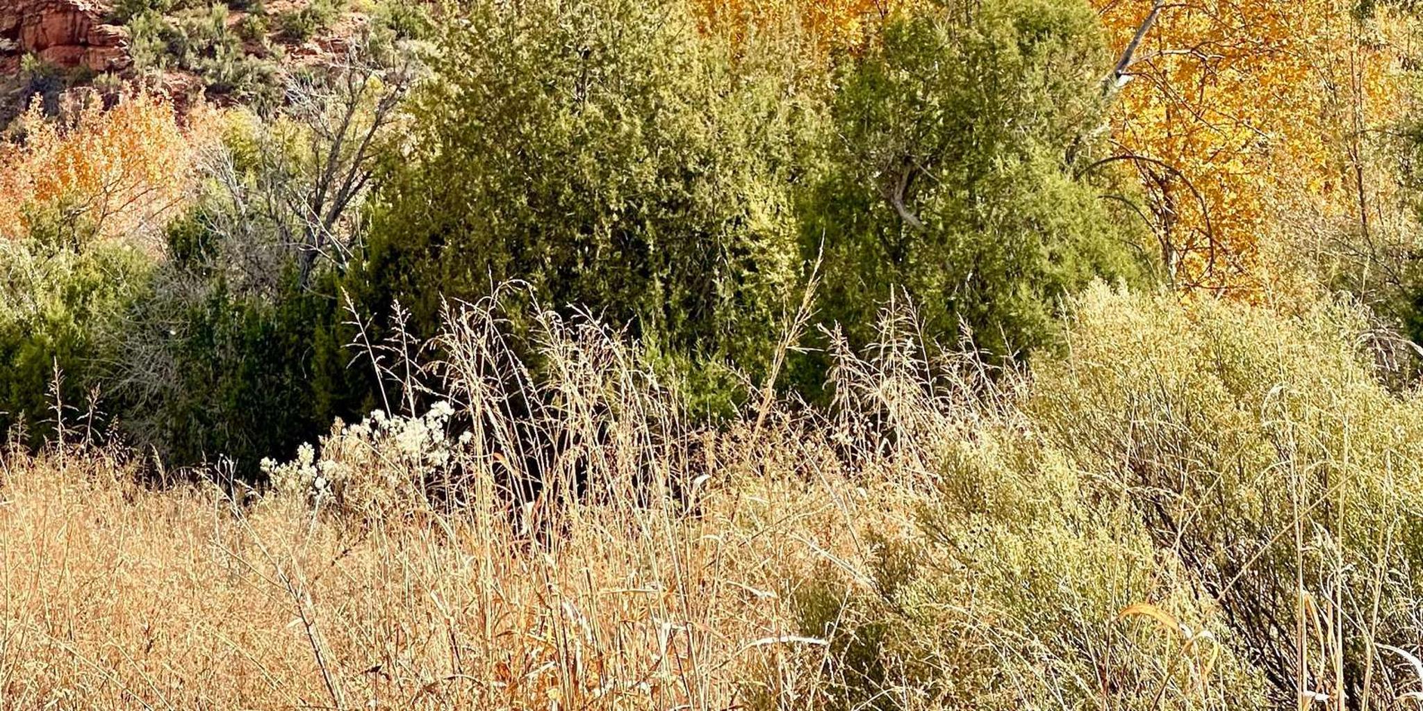 Sedona Day Tour from Las Vegas - Image 6