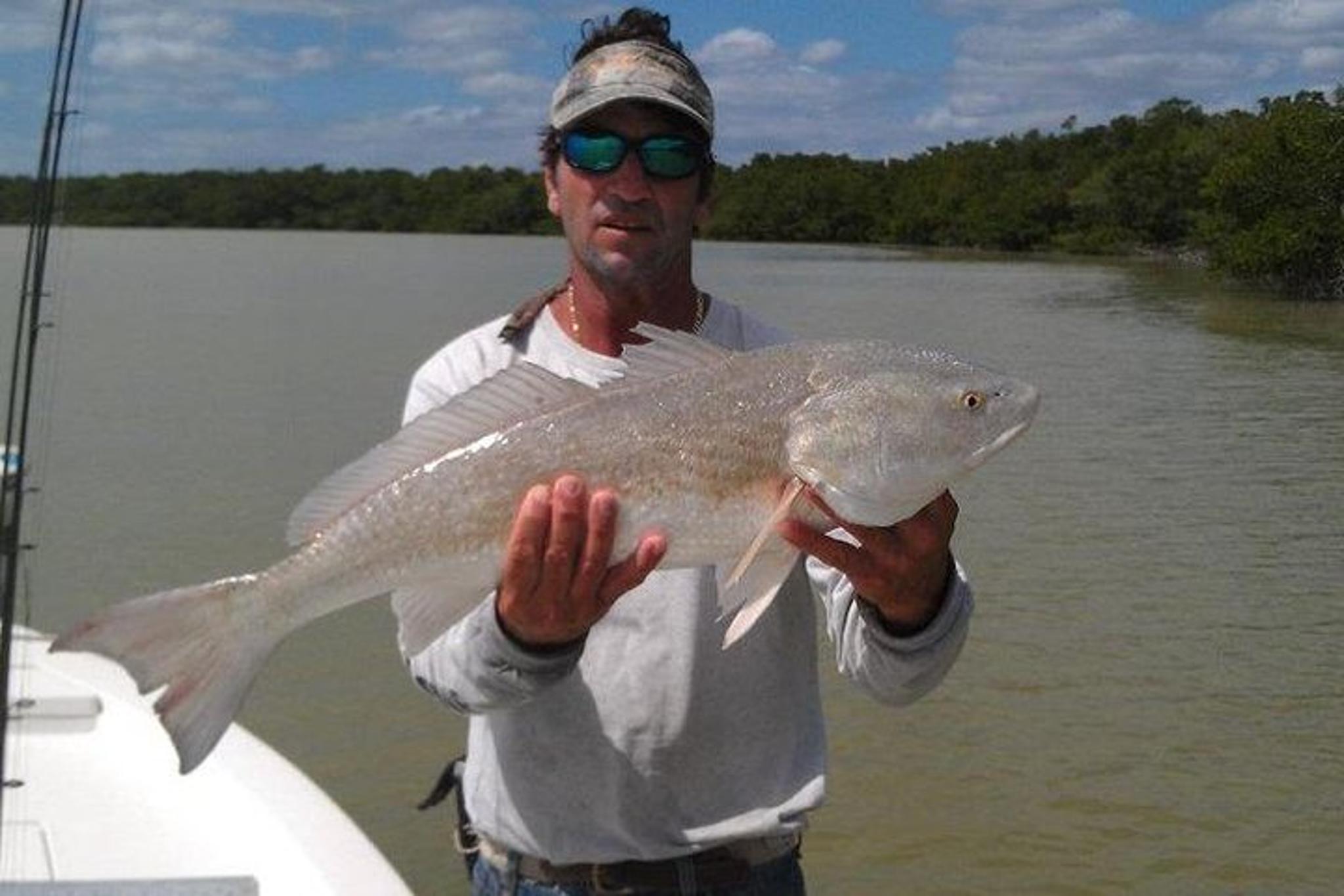 Sarasota Inshore Fishing Charter - Image 3