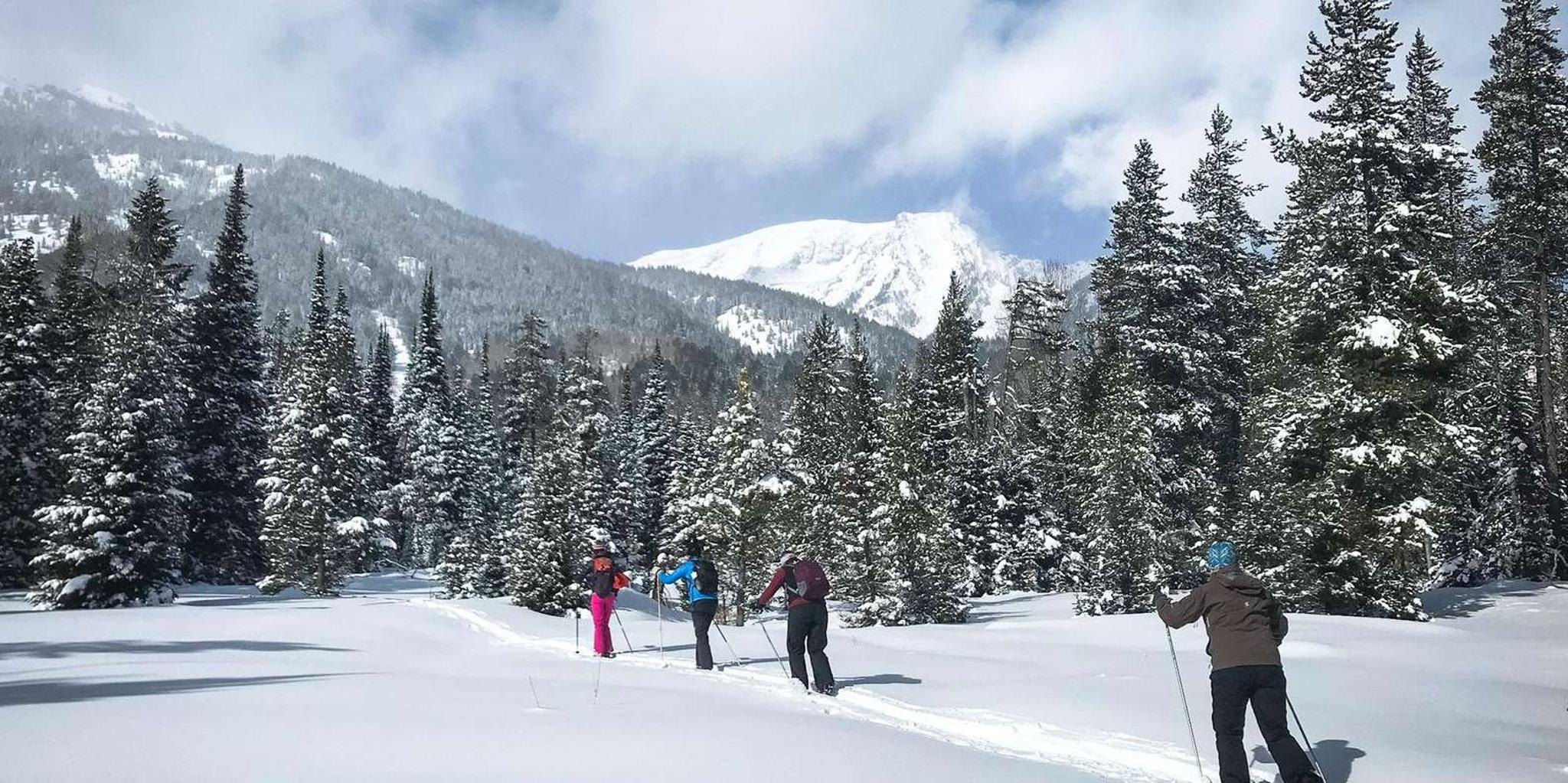 Grand Teton National Park Snowshoe Tour 4 hr - Image 6