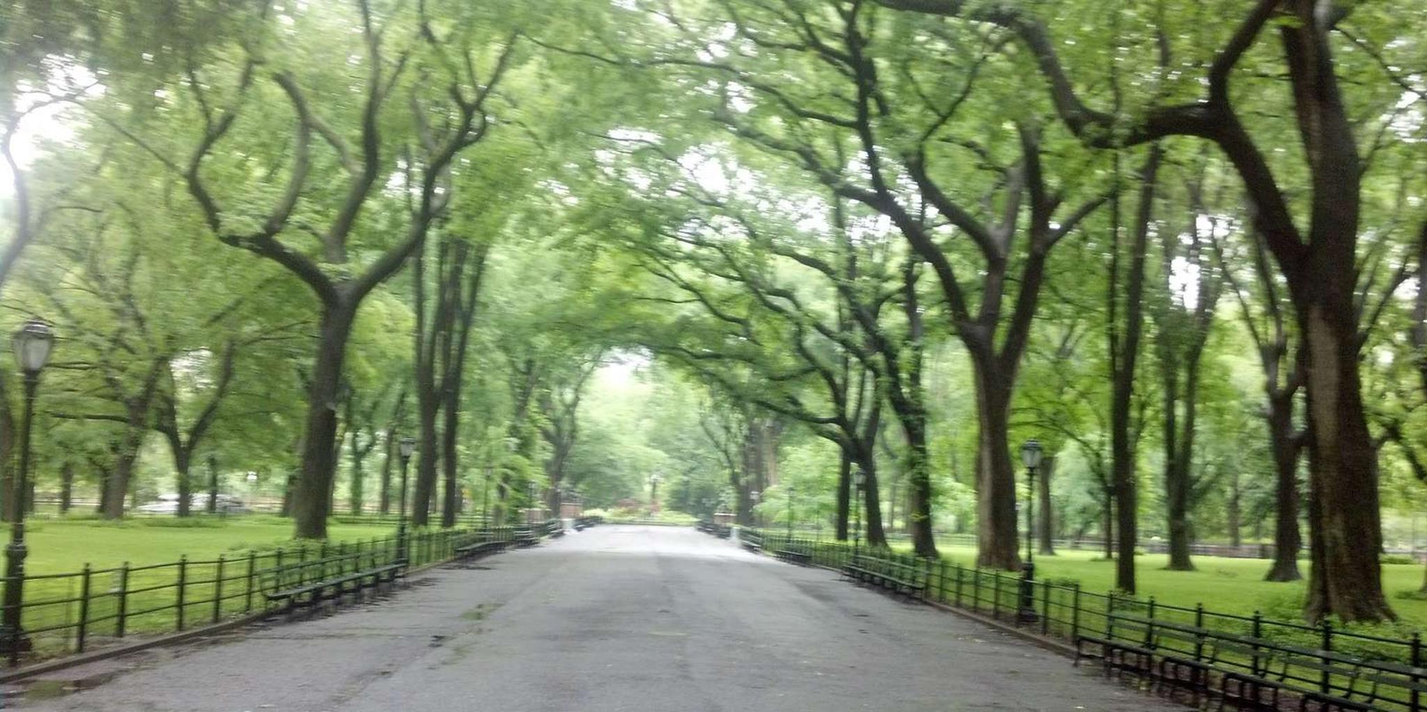 New York City Central Park Walking Tour - Image 2