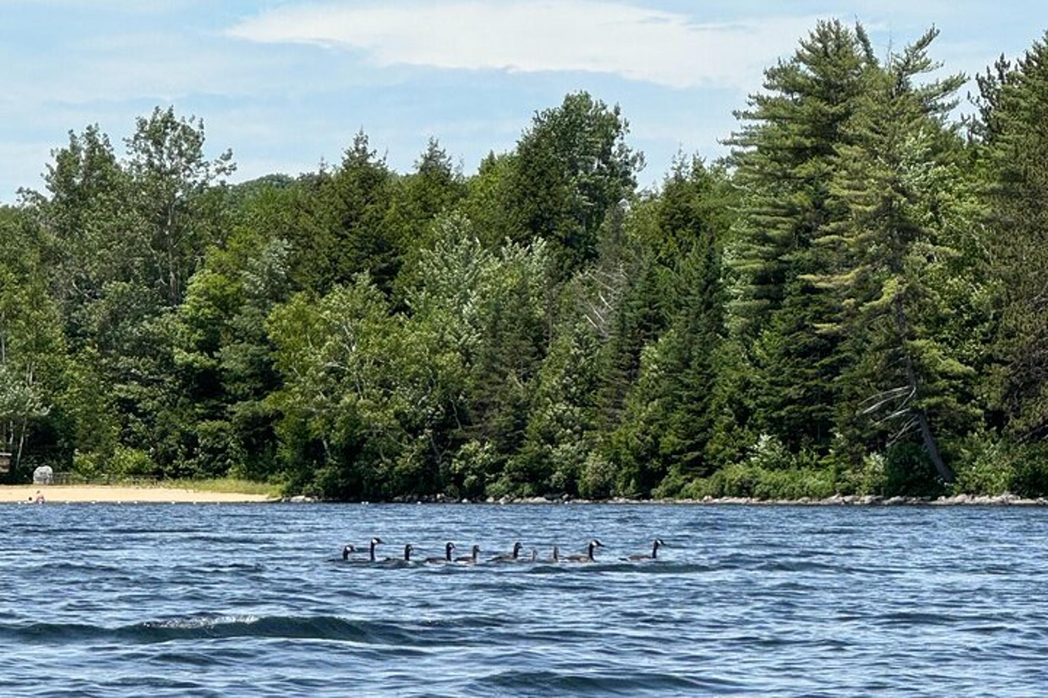 Piermont Self-Guided Paddle on Lake Tarleton - Image 6