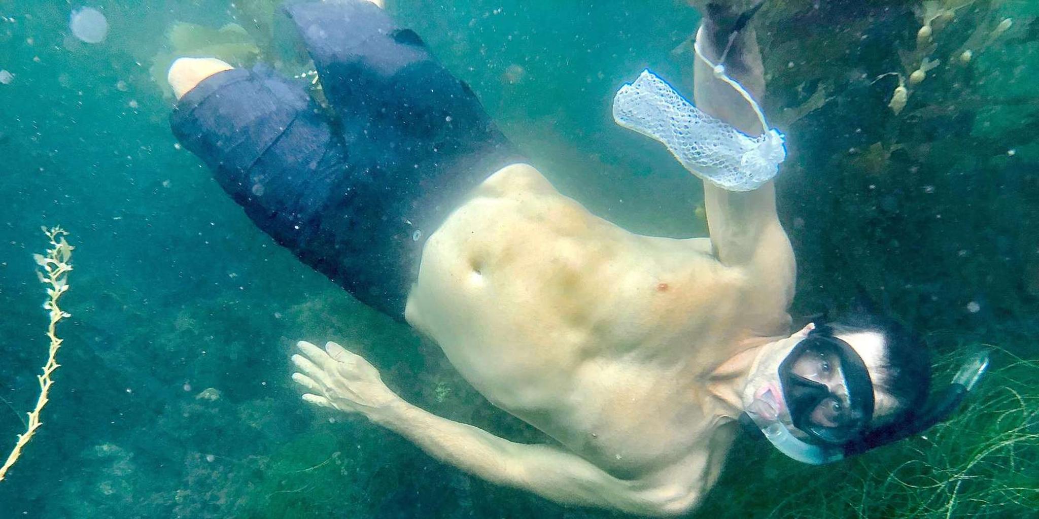 Redondo Beach Snorkeling Lesson in Hidden Coves 1 hr - Image 4