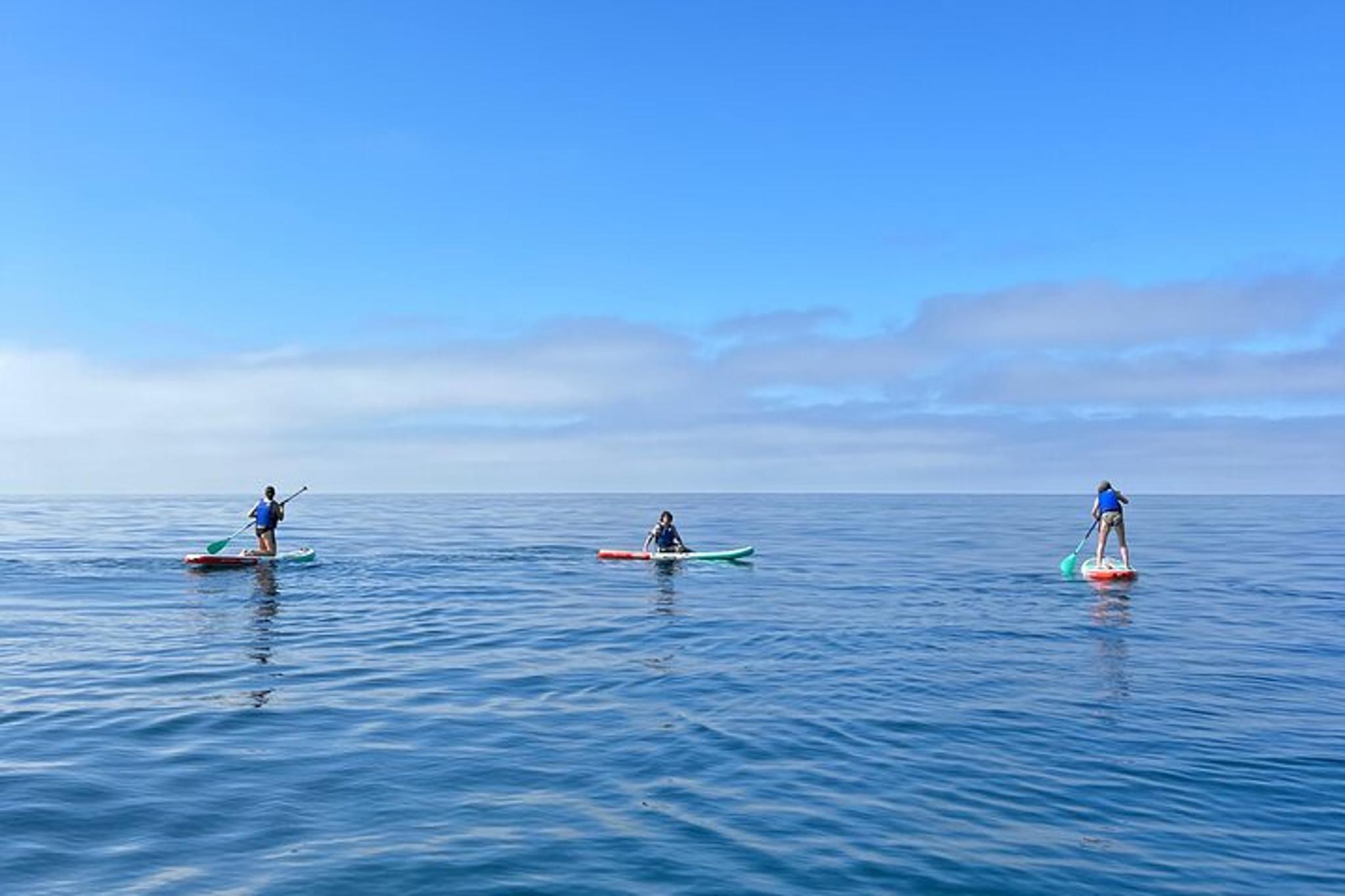 Laguna Beach Stand Up Paddle Activity 90 Min - Image 4