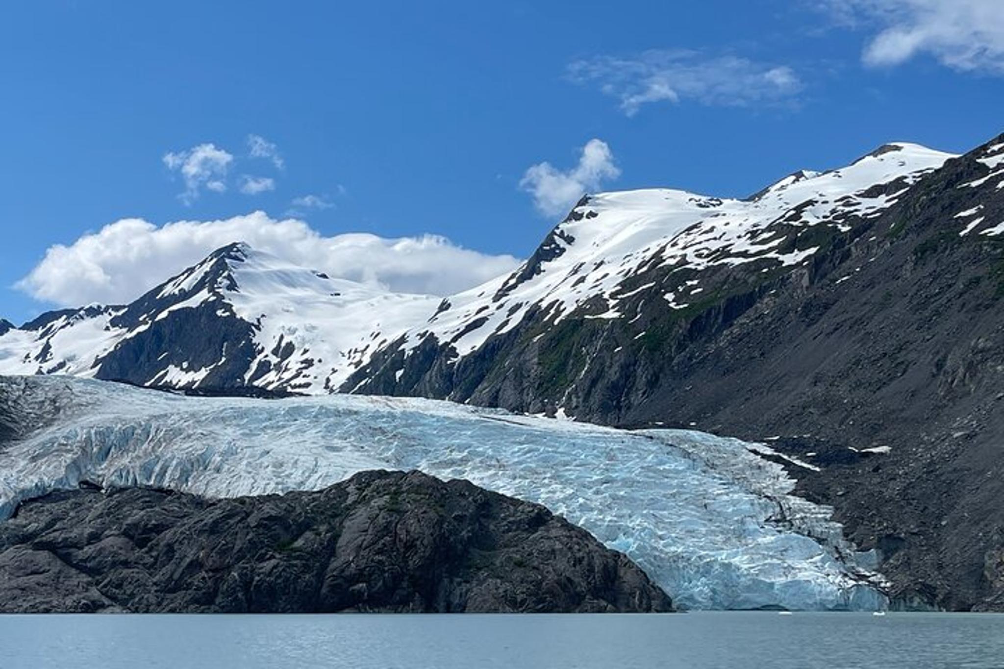 Anchorage Glacier and Wildlife Tour - Image 3