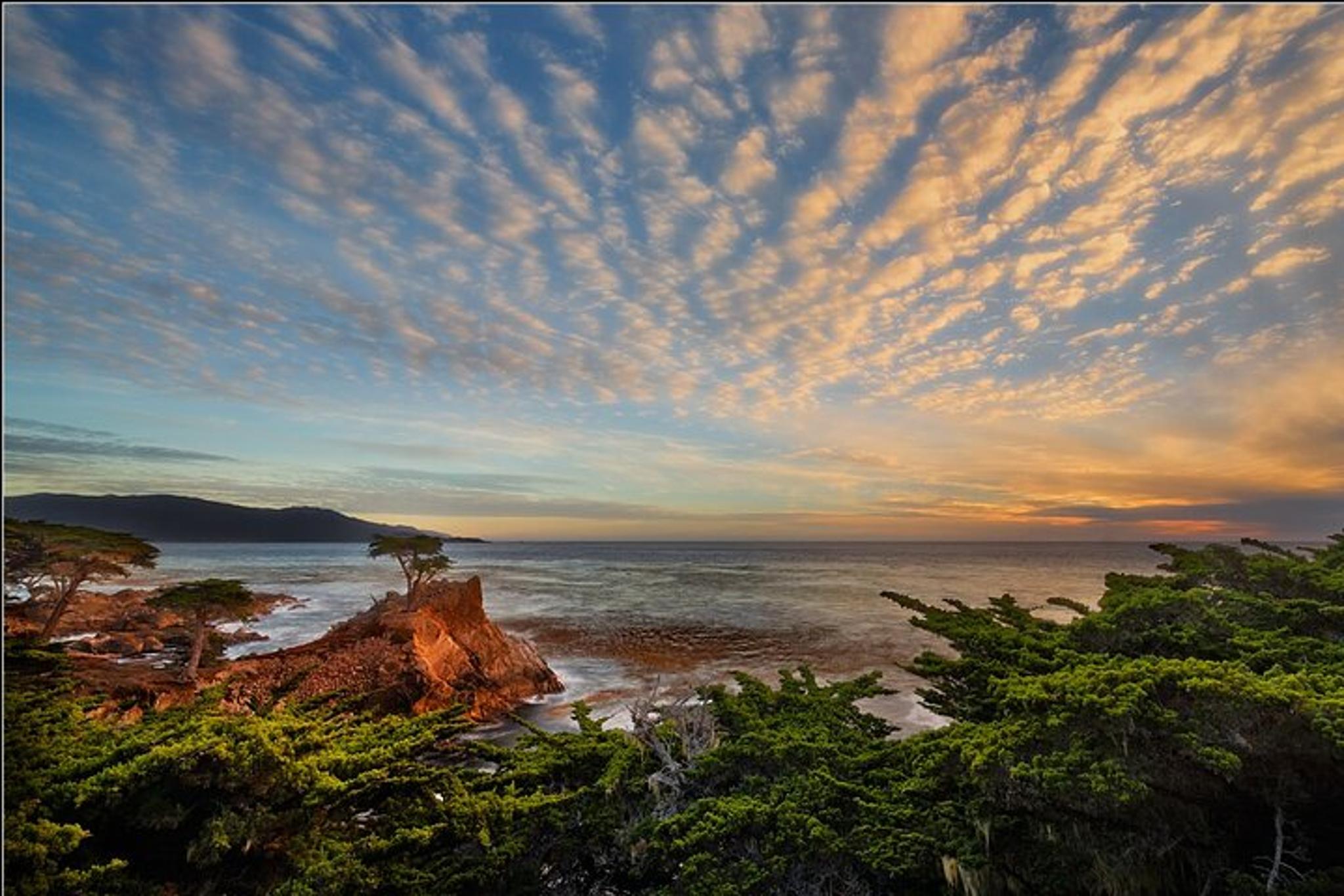 Monterey Bay Kayak Rental: Otters, Seals, and Sea Lions