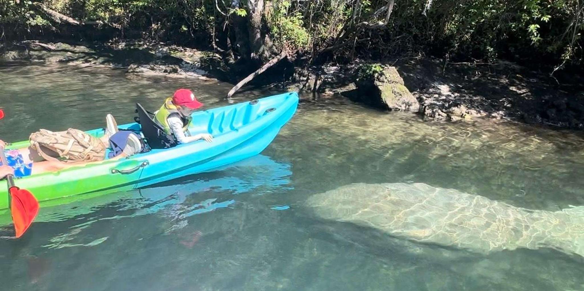 Crystal River Kayak with Manatee Viewing at Sunset - Image 3