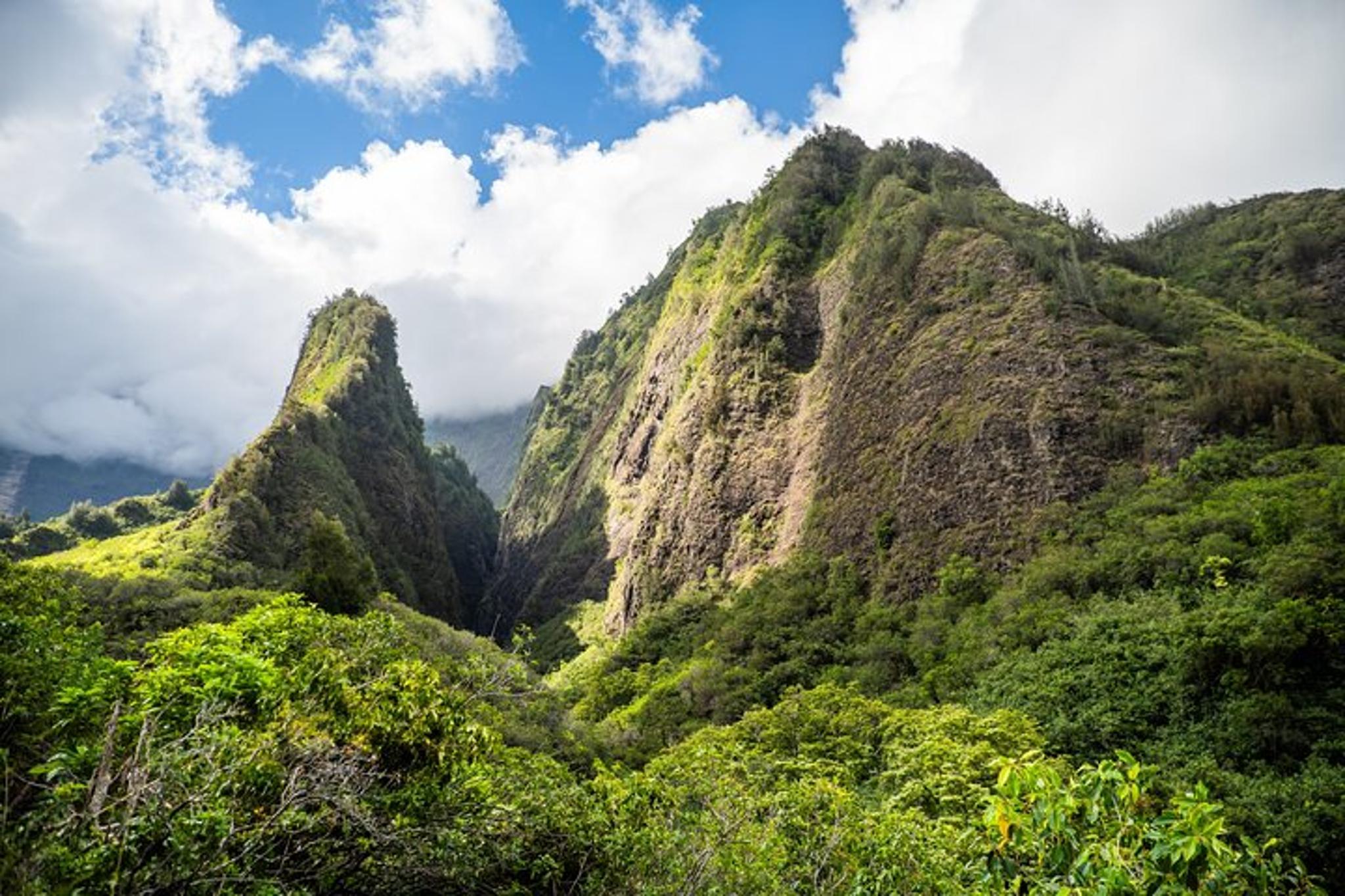 Maui Private Upcountry Tour