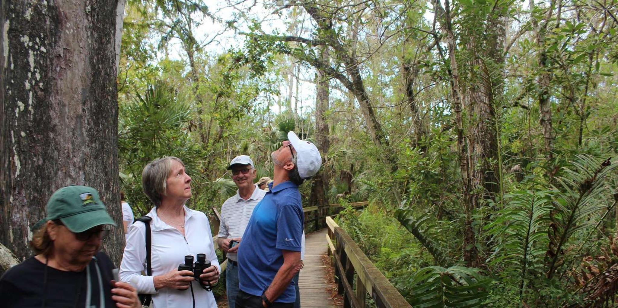 Miami Everglades Tour with Boat Trip and Hikes - Image 2