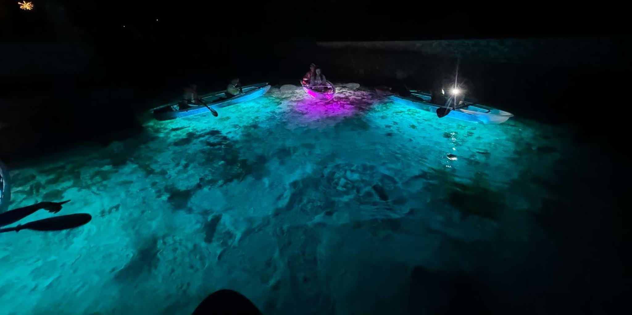 Crystal River Clear Kayak Sunset & Night Glow Tour - Image 3