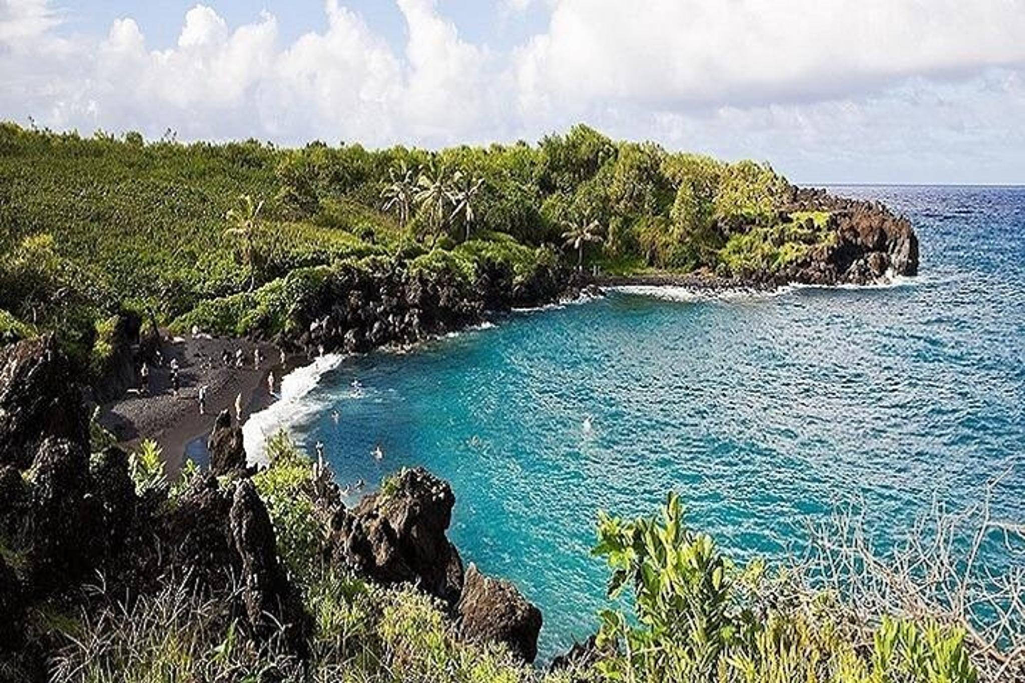 Maui Road to Hana Rainforest & Waterfall Tour - Image 6