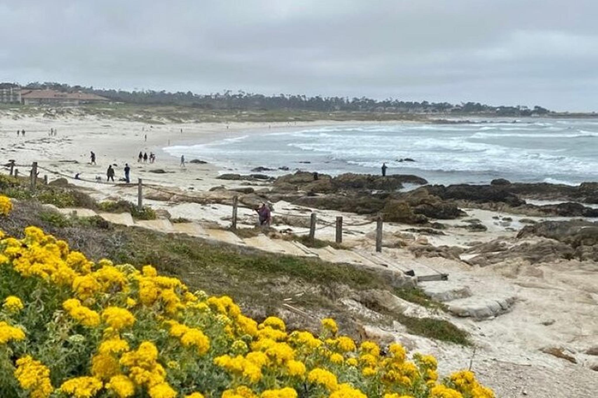 Monterey 17-Mile Drive Electric Bike Tour - Image 4