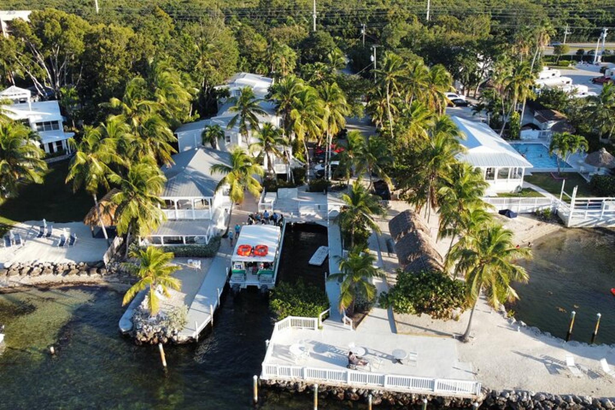 Key Largo Scuba Dive for Certified Divers 4 hr - Image 6