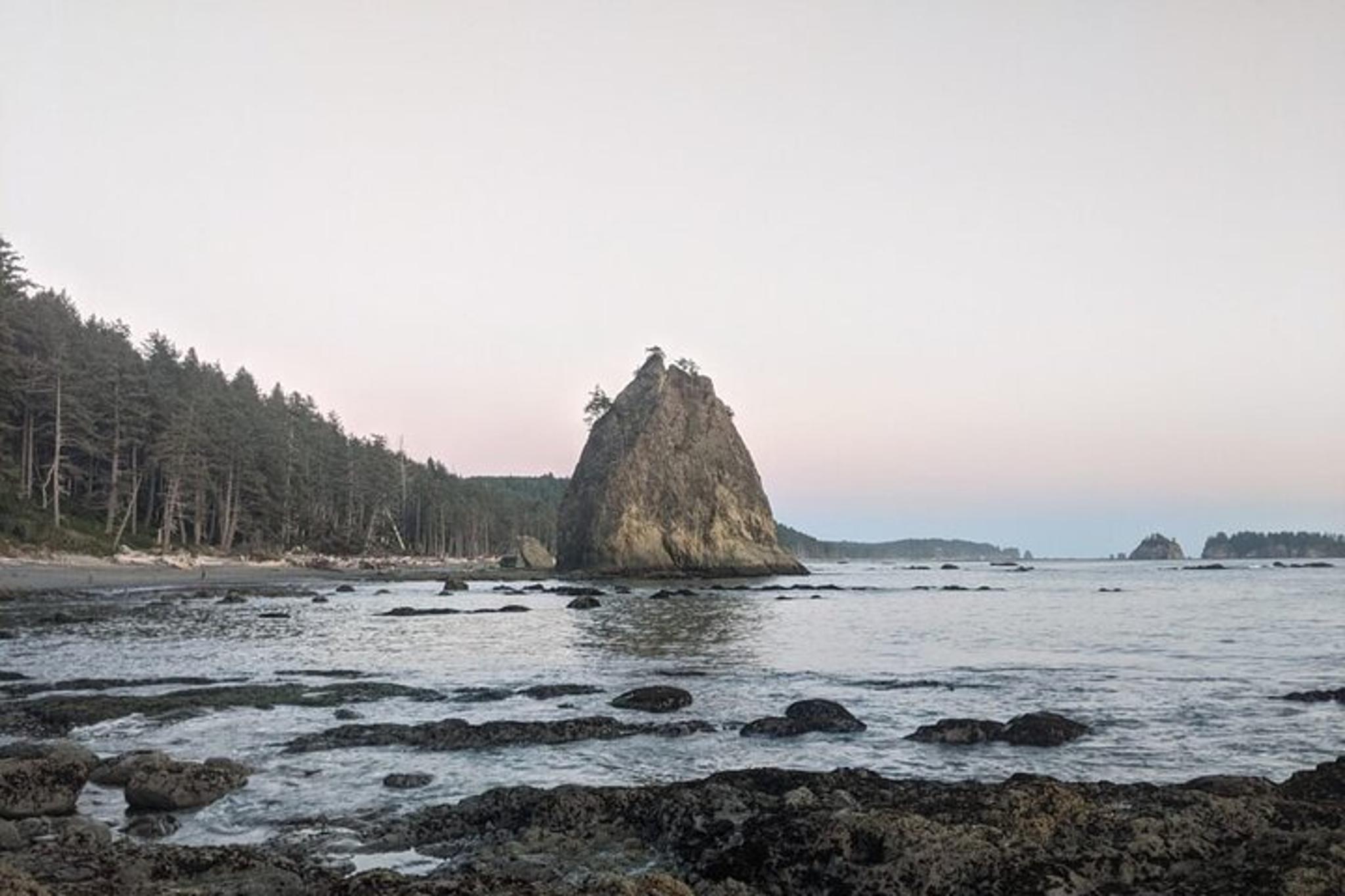 Rialto Beach Tide Pooling Hike - Image 6