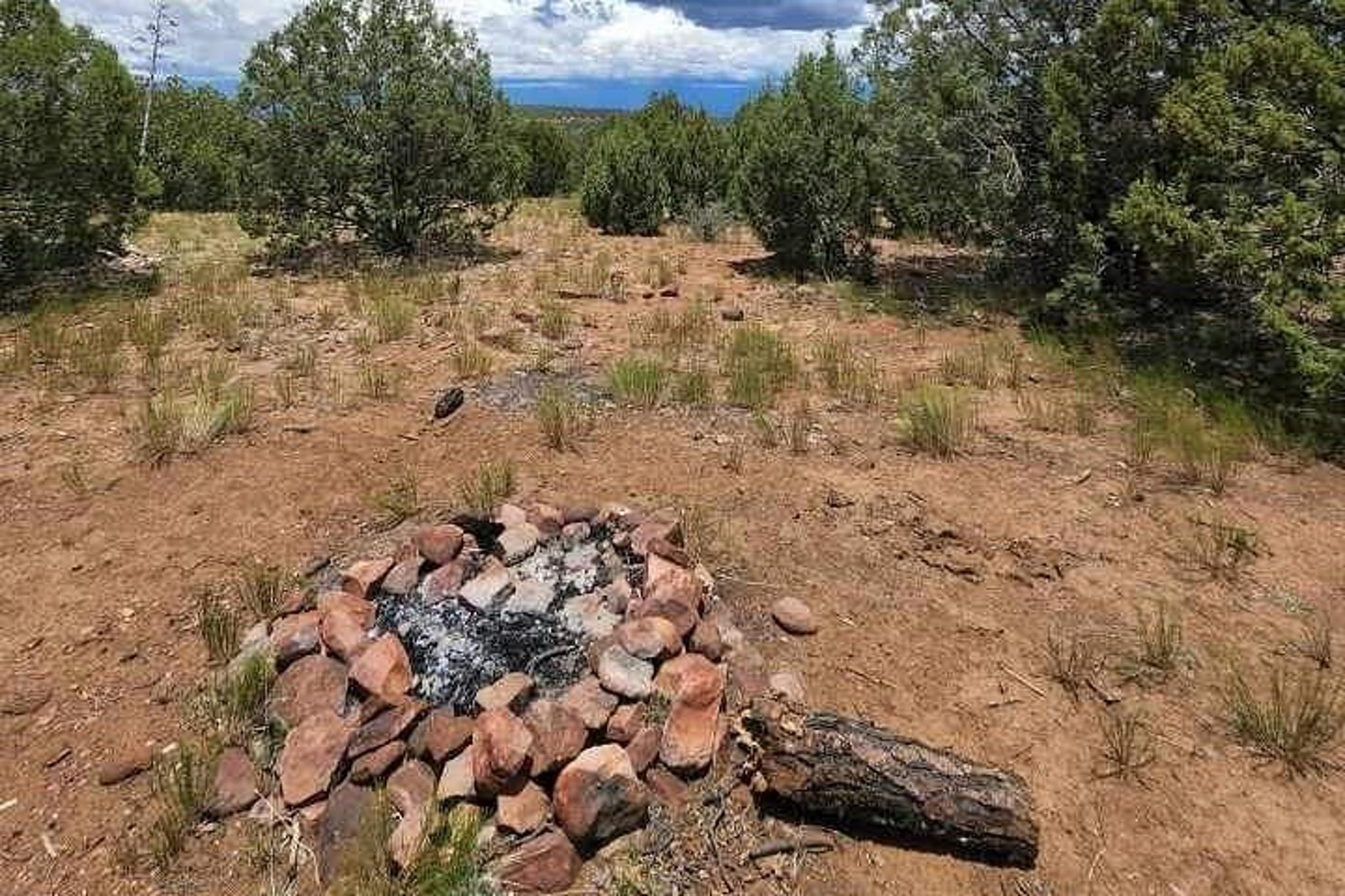 Chrysotile Off-Road Canyon Adventure 3 Hr - Image 5