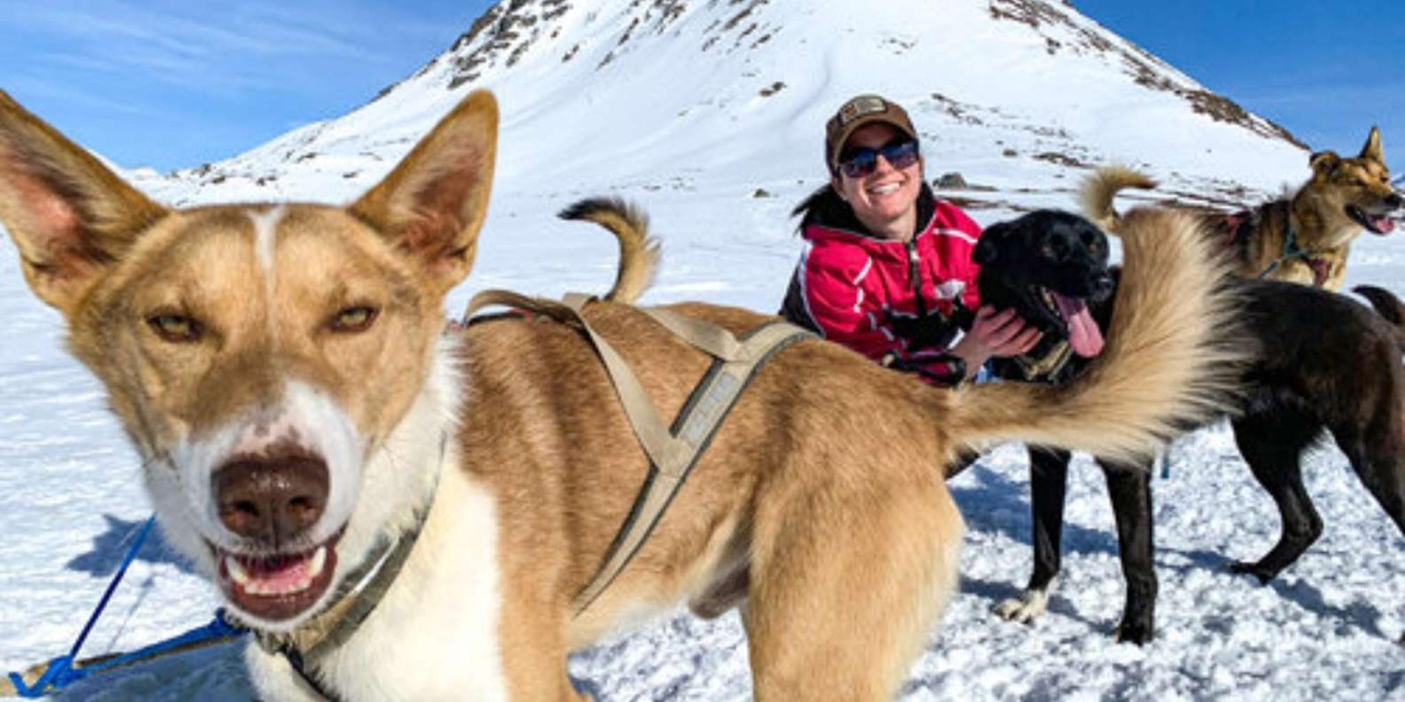 Willow Dog Sledding Adventure - Image 2