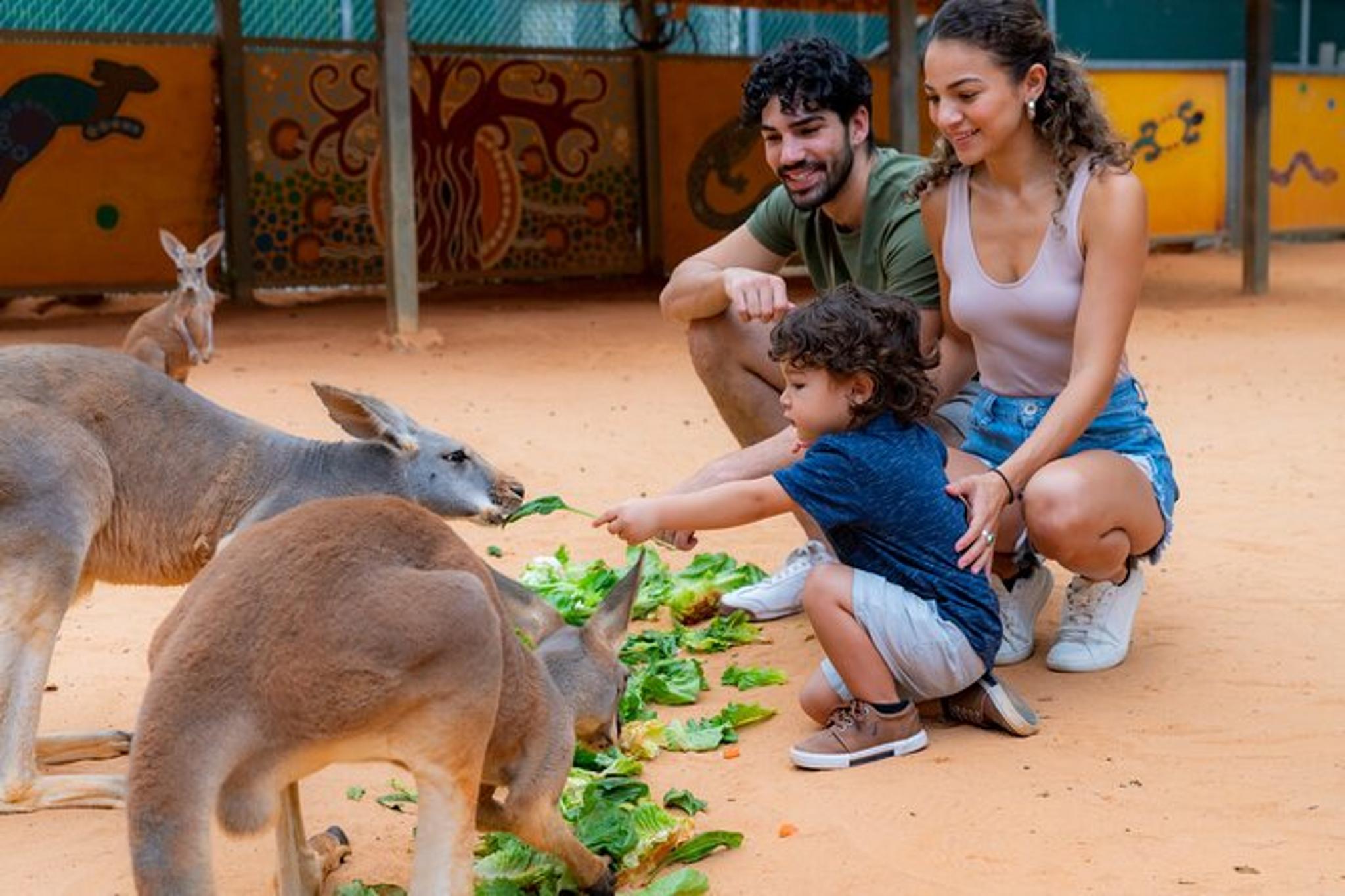 San Antonio Zoo Admission Ticket