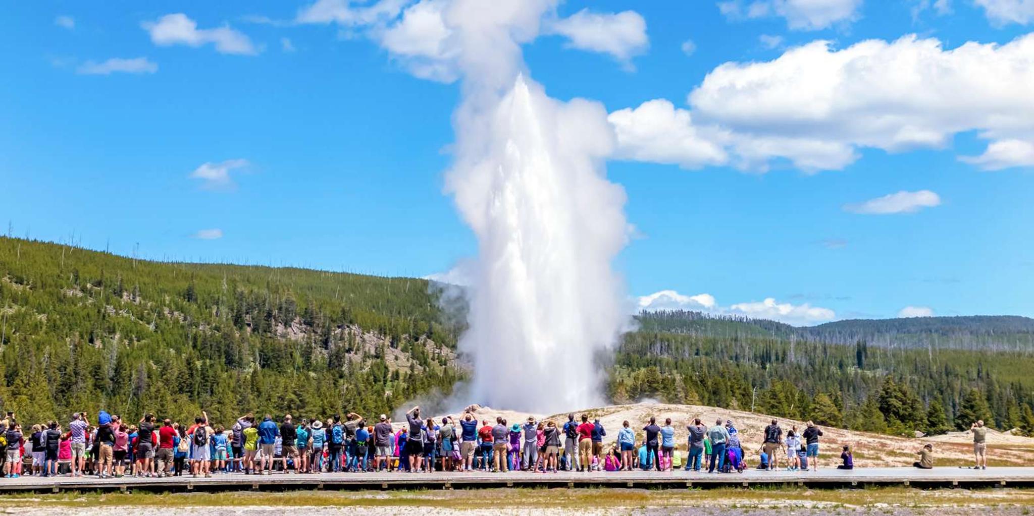 Jackson Yellowstone Lower Loop Day Tour