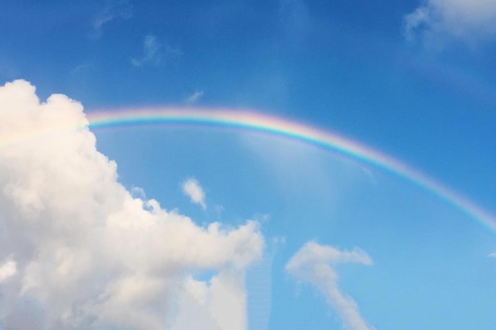 Honolulu Electric Scooter Tour at Sunset - Image 6