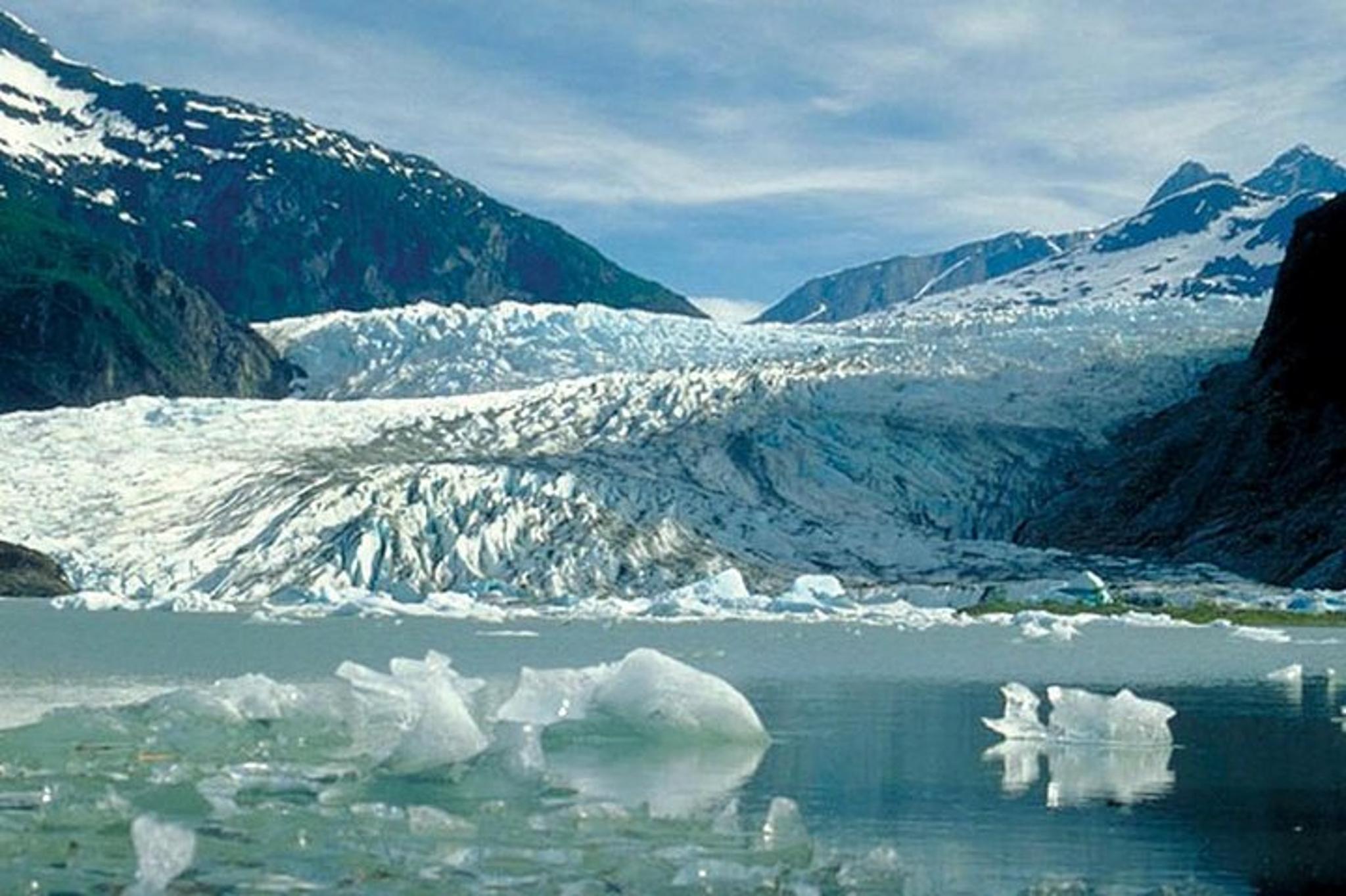 Juneau Mendenhall Glacier and Whale Watching Tour - Image 6