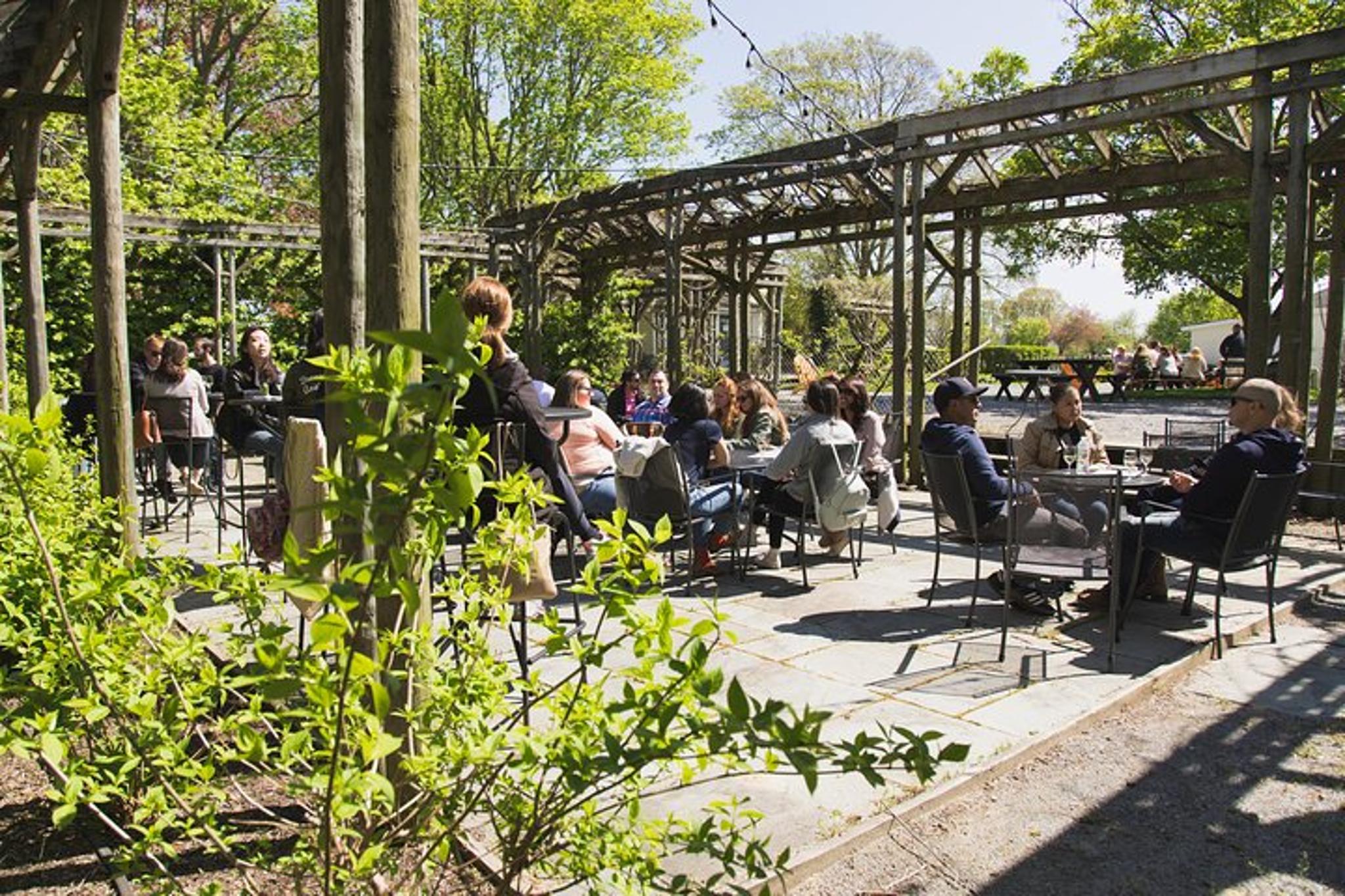 Long Island Wine Tour from Manhattan with Lunch - Image 6