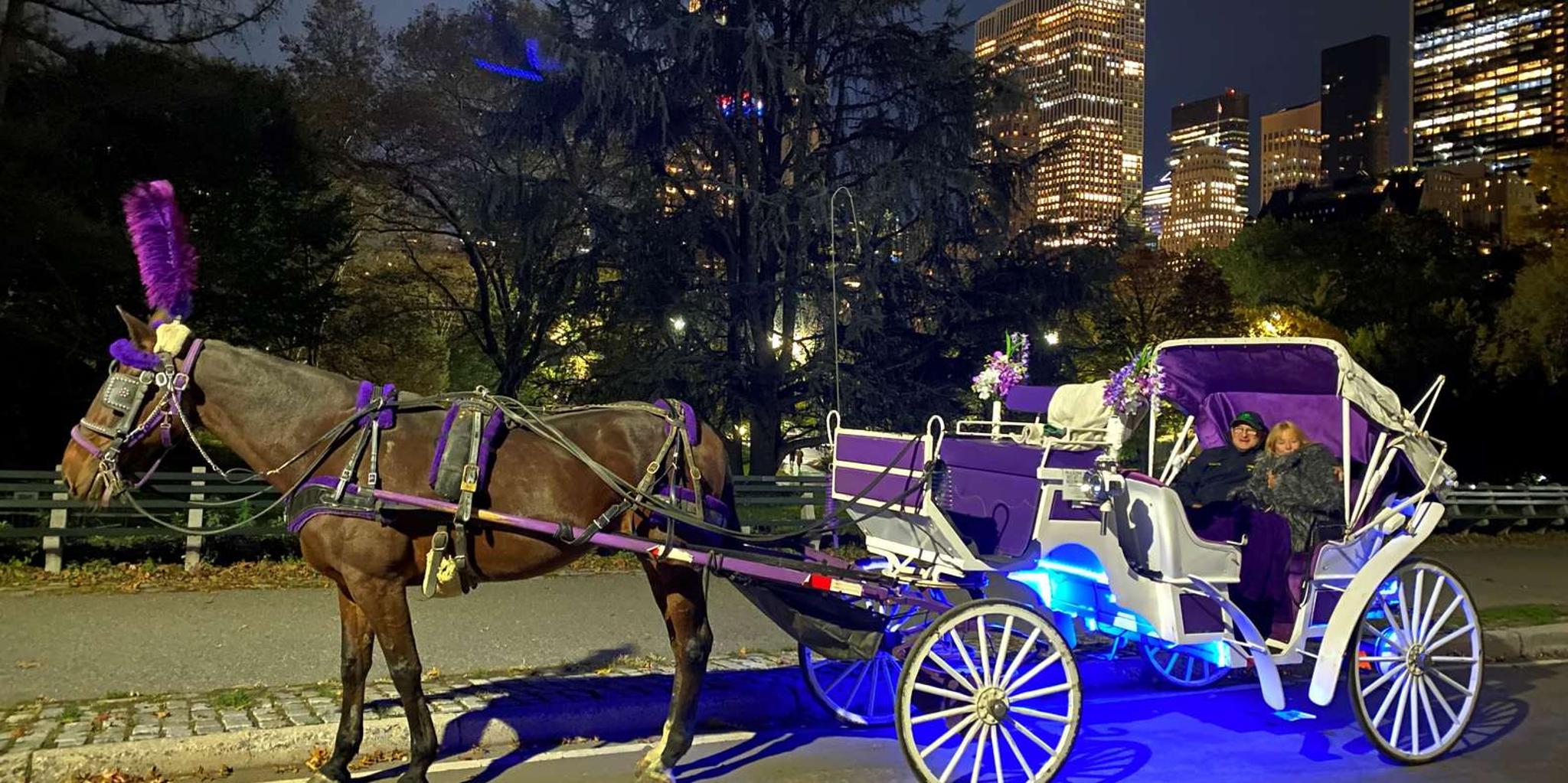 New York City Christmas Lights Horse Carriage Ride - Image 3