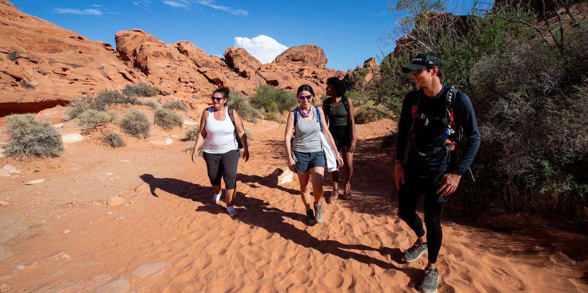 Las Vegas Valley of Fire Hiking Tour - Image 5