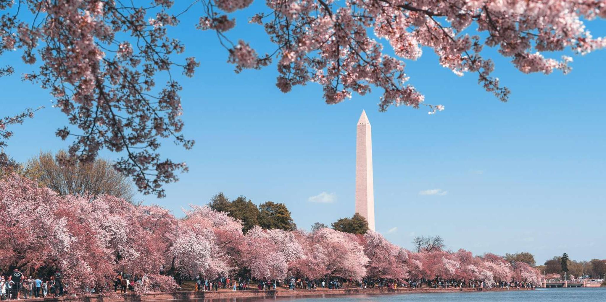 Washington DC Monuments & Landmarks Tour