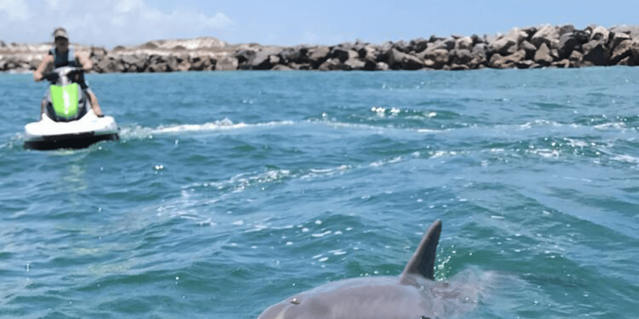 Destin Crab Island Dolphin Jet Ski Tour - Image 2