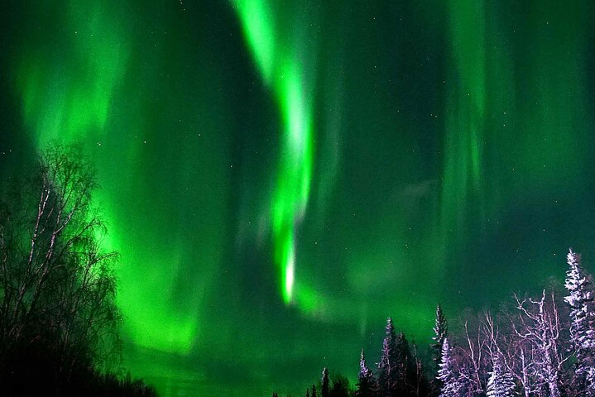 Fairbanks Chena Hot Springs Aurora Tour - Image 1