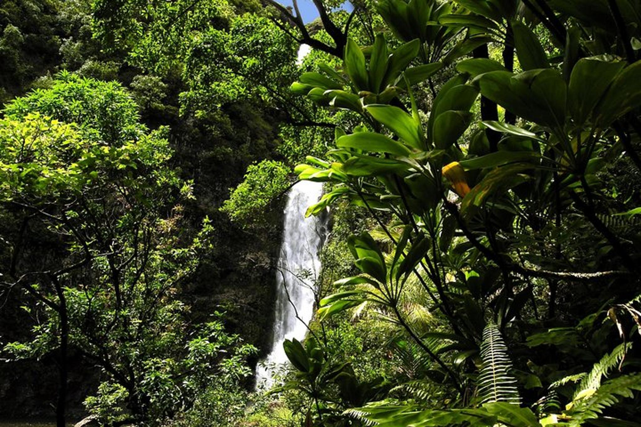 Maui Road to Hana Limo-Van and Helicopter Tour - Image 6