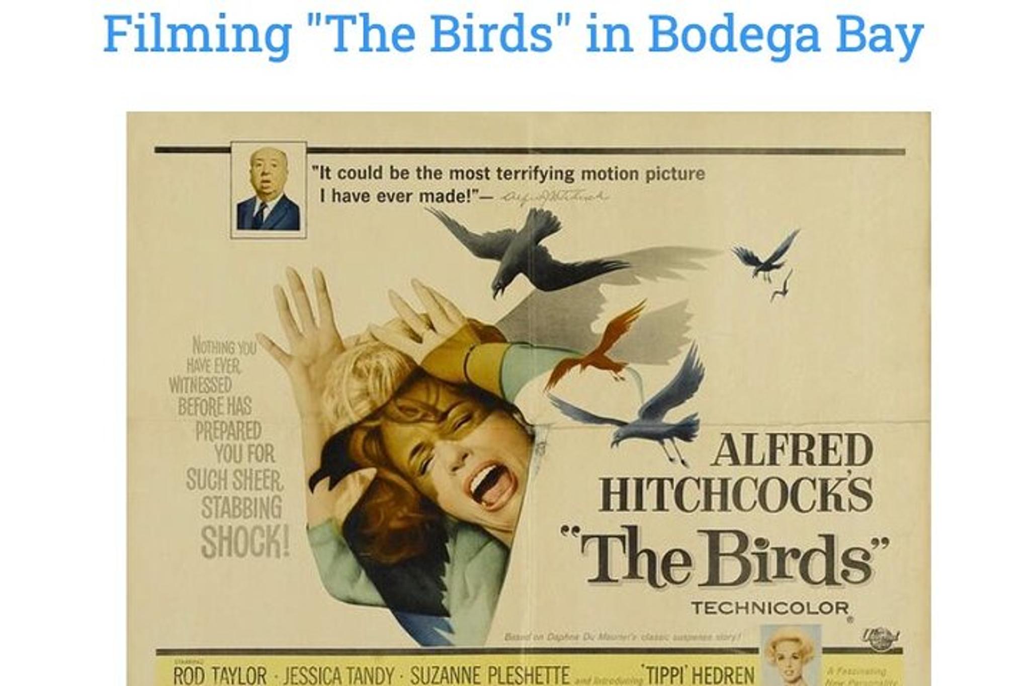 Bodega Bay Sunset Tour - Image 3