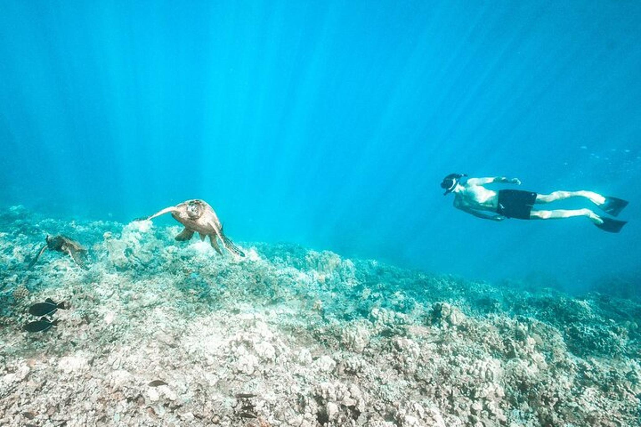 Maui Coral Gardens Snorkel & Waterslide Adventure - Image 2